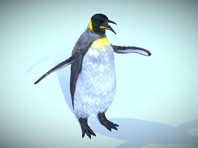 penguin emperor penguin animal model