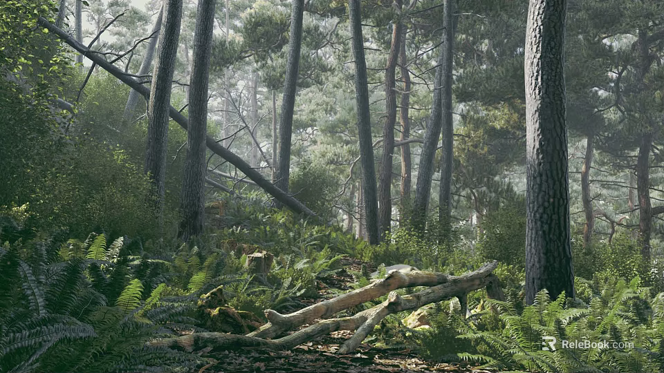 Serene Misty Pine Forest Landscape With Lush Green Ferns And Scattered Fallen Logs In Sunlight 3d model 