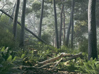 Serene Misty Pine Forest Landscape With Lush Green Ferns And Scattered Fallen Logs In Sunlight 3d model