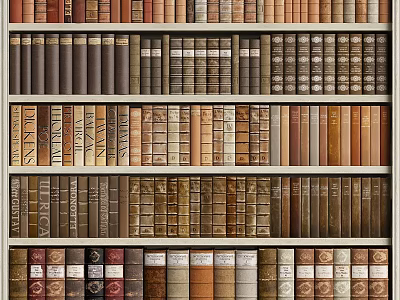 Vintage Books Collection On Wooden Shelves With Colorful Spines And Classic Covers 3d model