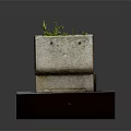 Green Plants Growing In Rectangular Stone Planter With Stone Slab Base 3d model