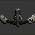 Realistic Ostrich With Long Neck Black Feathers White Wings And Tail In Standing Posture