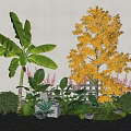 Diverse Garden Plants With Large Leafy Greenery Yellow Flowering Tree Small Shrubs And Mixed Flowers
