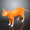 Orange Tabby Cat Standing Looking to Side on Black Shiny Surface with Reflection 3d model