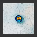 Blue Patterned Bowl With Two Fresh Oranges On White Marble Table