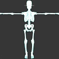 3D Skeleton Character With Arms Outstretched For Game And Movie Scenes On Black Background