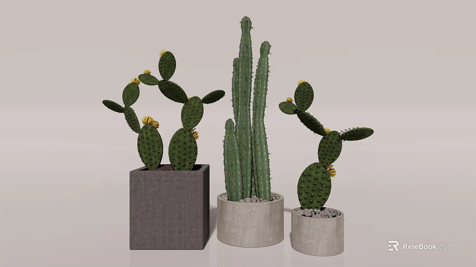 Three Cactus Potted Plants With Different Style Pots For Home Decoration 3d model 