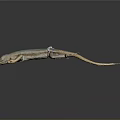 Lizard With Blue Brown Patterns And White Back Tag Against Gray Gradient Background