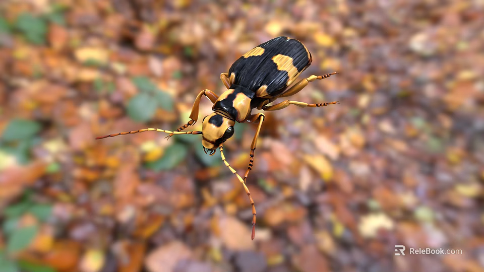 Black And Yellow Reptile In Autumn Foliage 3d model 