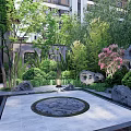 Tranquil Residential Landscape With Lush Greenery Diverse Trees Stone Pathway Rock Formations And Small Pond