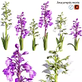 Decorative Garden Ornaments With Purple And White Flowers And Green Stems Leaves