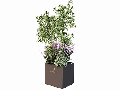 Bonsai Potted Plant With Green Foliage And Purple Flowers In Square Brown Planter 3d model