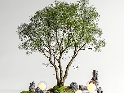 Lush Green Tree With Multiple Trunks Mossy Ground And Glowing Spheres Among Stones 3d model