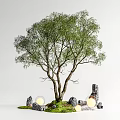 Lush Green Tree With Multiple Trunks Mossy Ground And Glowing Spheres Among Stones