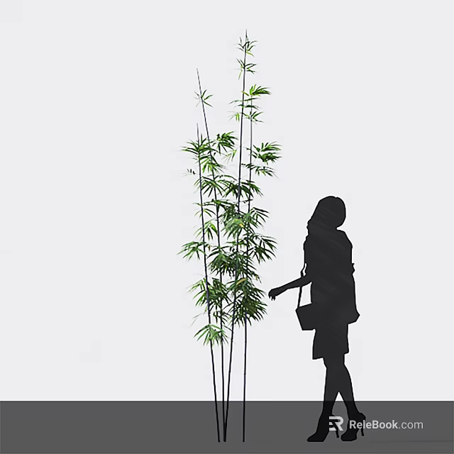 Silhouette Of A Woman Next To Tall Green Bamboo Plants 3d model 