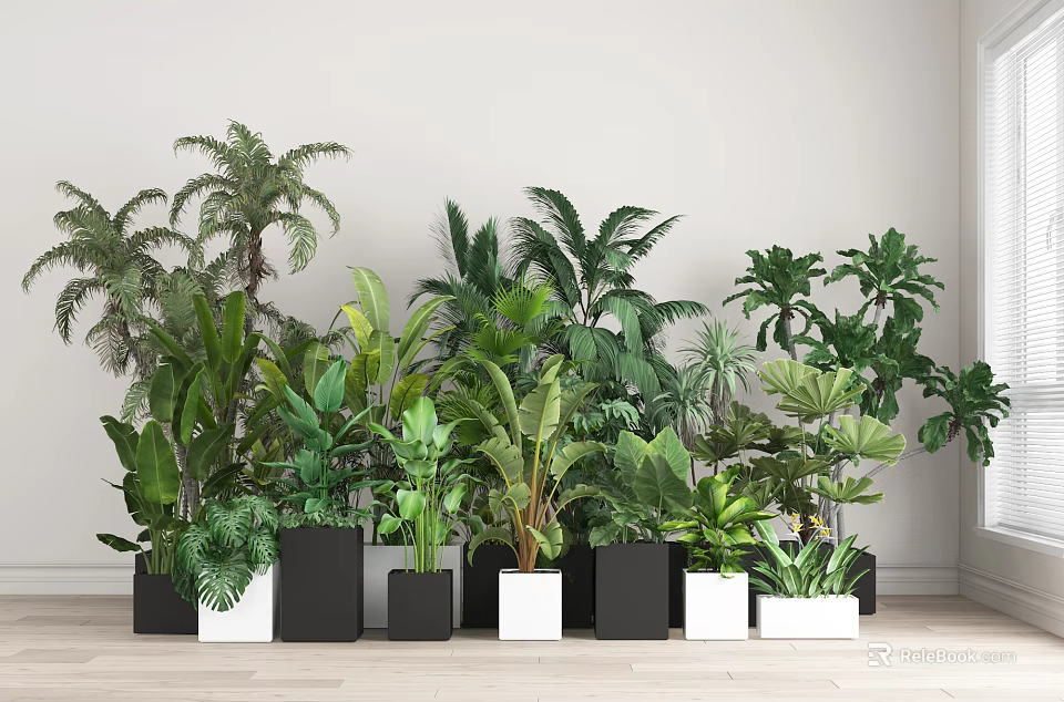 Indoor Potted Plants With Various Green Tropical Foliage In Black And White Pots Along Wall 3d model 