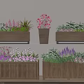 Bonsai Potted Plants in Wooden Planters with Colorful Flowers and Green Foliage