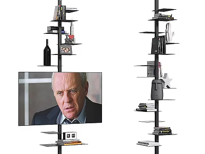 Ornamental Decor Combination On Modern Multi Tier Shelf With Books Wine Bottle And Photo Frame 3d model
