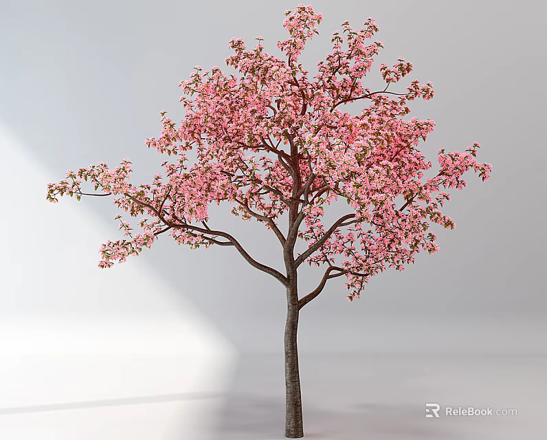 Beautiful Tree with Pink Blossoms and Dark Trunk on Light Background 3d model 