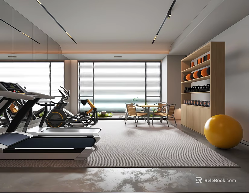 Modern Fitness Gym Interior With Treadmill Exercise Bike Yoga Ball And Large Windows 3d model 