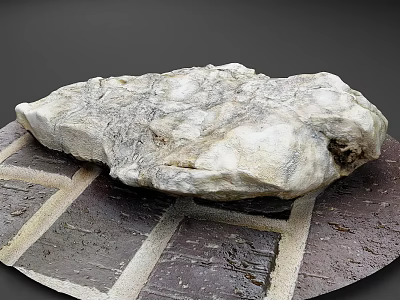 Natural Texture Rockery Stone With White Gray Color Placed On Brick Patterned Ground 3d model