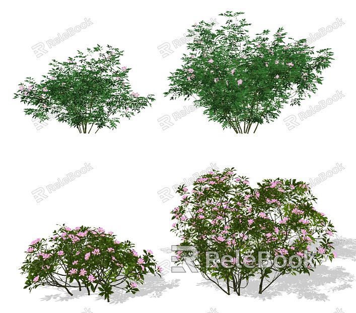 modern shrub green plant shrub model