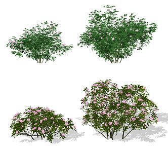 modern shrub green plant shrub 3d model