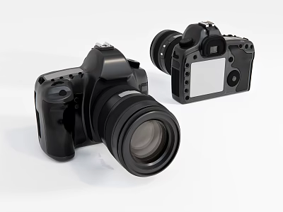 Black Digital Camera Body And Lens For Professional Photography Gear 3d model