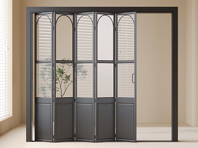 French Folding sliding door Galley door model