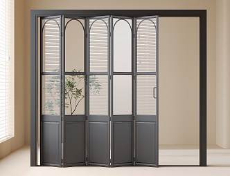 French Folding sliding door Galley door 3d model