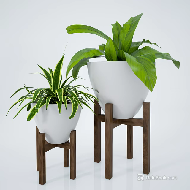 Potted Plants in White Pots on Wooden Stands with Green Leaves of Different Sizes 3d model 