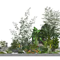 Natural Garden Stepping Stones Landscape Design With Bamboo Banana Plants Greenery And Pebbles