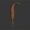 Realistic 3D Rendering Of Pink Spotted Creature With Long Snout Tail And Fins
