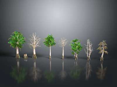 Green and Withered Trees Arranged in Row with Gray Background and Ground Reflections 3d model