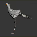 Secretary Bird with Grey Plumage Orange Beak Long Legs and Crested Head