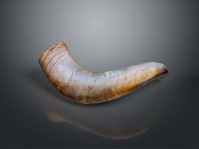 Natural Horn Shaped Furniture Decoration Piece With Smooth Brown Surface 3d model