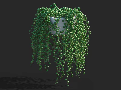 Bonsai Potted Plant with Hanging Green Round Leaves in White Pot Against Dark Background 3d model