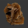 Wood Stone With Orange Red Flower Shaped Layered Structure And Glossy Texture