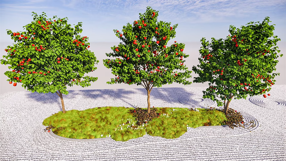 Three Arbor Trees With Red Fruits Green Leaves On Grass And White Stone Ground 3d model 