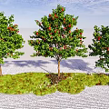 Three Arbor Trees With Red Fruits Green Leaves On Grass And White Stone Ground