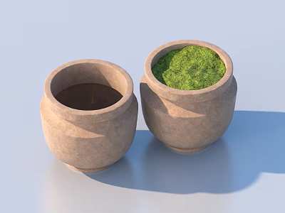 Two Decorative Terracotta Potted Plants With Green Moss For Home Decoration 3d model