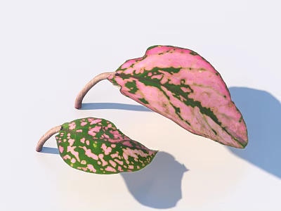 Vibrant Pink And Green Decorative Leaves With White Spots And Stems 3d model