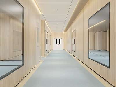 Bright Modern Elevator Hallway With Wooden Walls Glass Panels And Light Colored Floor 3d model