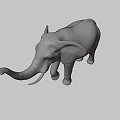 Majestic Elephant Standing With Raised Trunk And Shadow On Beige Background