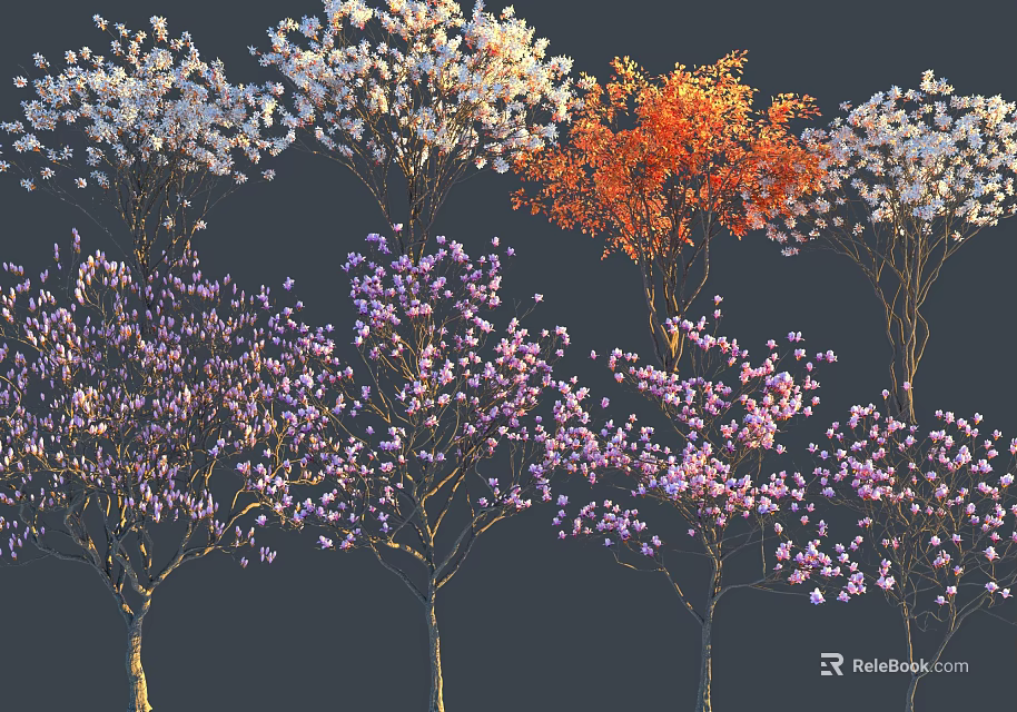 Colorful Flowering Trees with White Orange Purple Blossoms Against Dark Background 3d model 