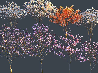 Colorful Flowering Trees with White Orange Purple Blossoms Against Dark Background 3d model