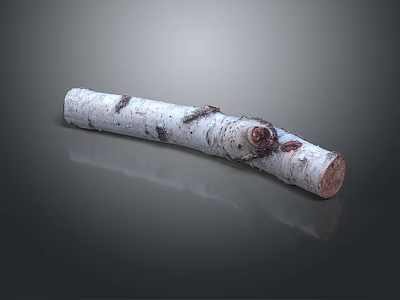 Natural Birch Wood Log Featuring White Bark And Knotty Textured Surface 3d model