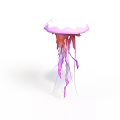 Decorative Jellyfish Like Plant With Pink Purple Tentacles On White Background