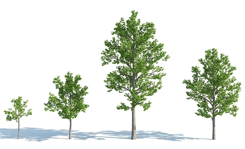 The Modern Tree 3d model