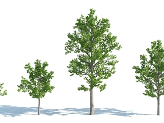 The Modern Tree 3d model